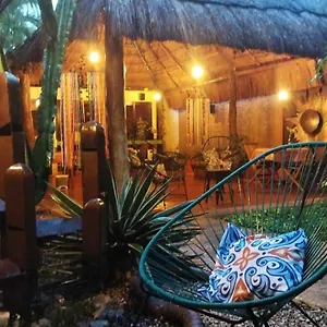 https://barrio-latino.allrivieramayahotels.com